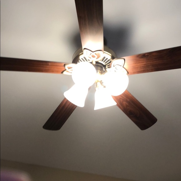 Meet your Posher, Phillip - Picture 1 of 1